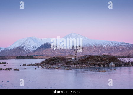 Scène d'hiver, avec pré aube lumière, Lochan Na H-Achlaise, Rannoch Moor, Ecosse, Royaume-Uni Banque D'Images