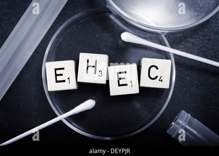 EHEC lettrage dans une boîte de pétri, image symbolique de EHEC pathogènes Banque D'Images