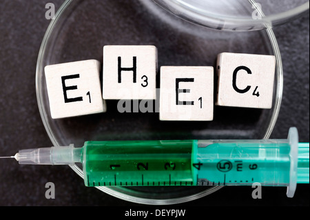 EHEC lettrage dans une boîte de pétri et seringue, image symbolique de EHEC pathogènes Banque D'Images