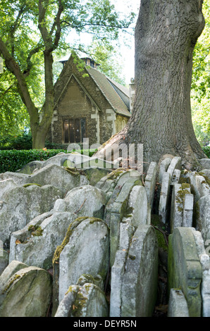 Vieille église de St Pancras, avec l'arbre rustique au premier plan. Banque D'Images