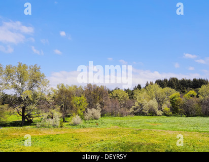 Ifrane, Maroc - ville dans le Moyen Atlas, le plus froid en Afrique Banque D'Images