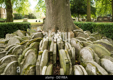 L'arbre rustique, vieux cimetière, St Pancras King's Cross, Londres. Banque D'Images