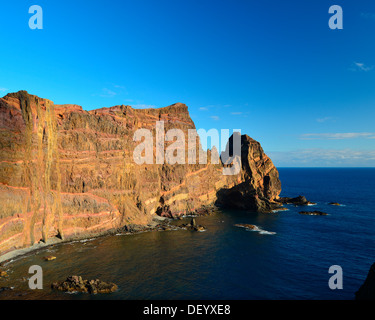 Les falaises de Ponta do Castelo, Ponta do Castelo, Madeira, Portugal Banque D'Images
