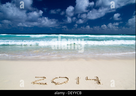 L'année 2014 sur la plage de sable près de l'océan Banque D'Images