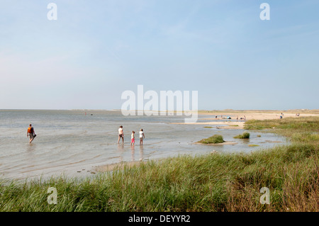 La mer des Wadden Terschelling Pays-Bas Friesland Wad Banque D'Images