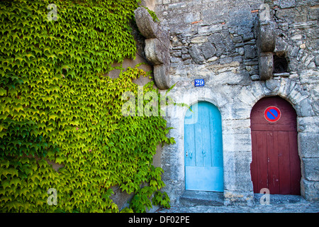 Ancien bâtiment en pierre avec deux portes, envahie par la façade, Bonnieux, Vaucluse, Provence, France, Europe Banque D'Images