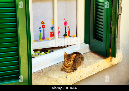 Chat tigré assis sur le rebord de fenêtre de couchage à Lefkada Lefkas Ville île grecque La Grèce Banque D'Images