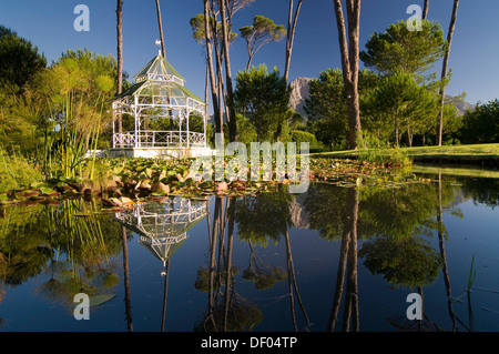 Étang, Boschendal Wine Estate, entre Stellenbosch et Franschhoek, Western Cape, Afrique du Sud, l'Afrique Banque D'Images