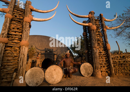 Zulu homme en costume traditionnel, la batterie, la série de film Shakazulu, Shakaland, KwaZulu-Natal, Afrique du Sud, l'Afrique Banque D'Images