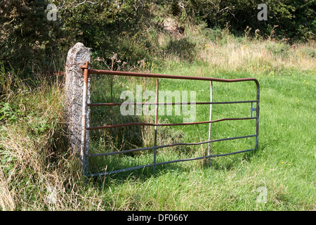 Ouvrir la porte de la barre de fer rouillé cinq d'entrée de champ dans l'Irlande rurale Banque D'Images