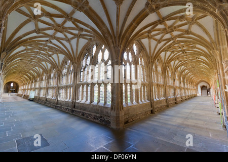 Grand angle faible, vue sur le cloître de la cathédrale de Wells dans les puits, Somerset, UK Banque D'Images