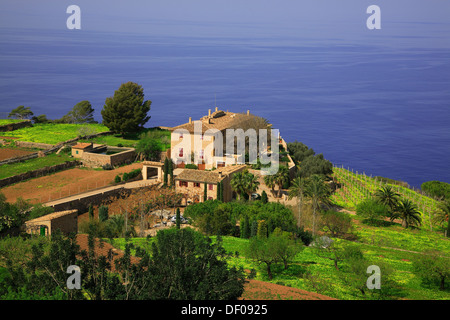 Finca à Banyalbufar, Majorque, Îles Baléares, Espagne Banque D'Images