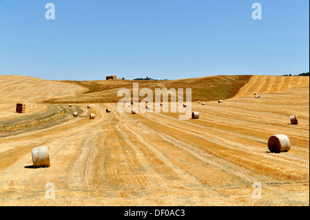 Bottes de paille dans les champs de céréales, au sud de Pienza, Toscane, Italie, Europe, PublicGround Banque D'Images