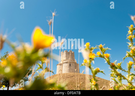 Dôme de l'église de Sveti Nikola, église Saint Nicolas, 12e siècle, Prahulje, Nin, Zadar, Dalmatie, Croatie, Europe Banque D'Images