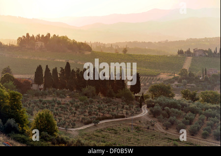 Paysage toscan dans la lumière du matin, vue vers l'Est, Barberino, Toscane, Italie, Europe Banque D'Images