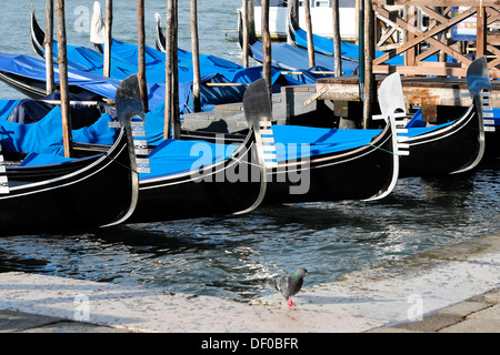 Gondoles, Grand Canal, le quartier de San Marco, Venice, Veneto, Italy, Europe Banque D'Images