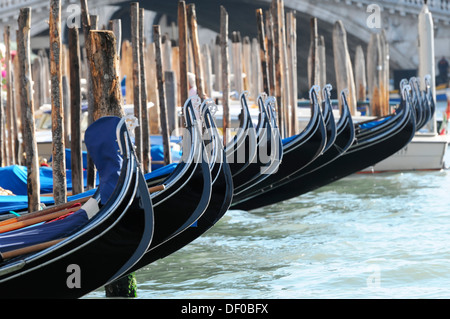 Gondoles, Grand Canal, le quartier de San Marco, Venice, Veneto, Italy, Europe Banque D'Images