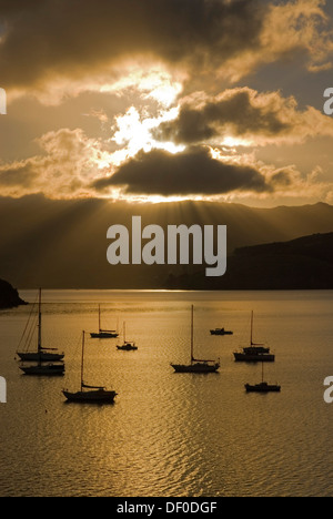 Bien au dessus de l'Akaroa Harbour et rétroéclairées bateaux dans early morning light, la péninsule de Banks, région de Canterbury, île du Sud Banque D'Images