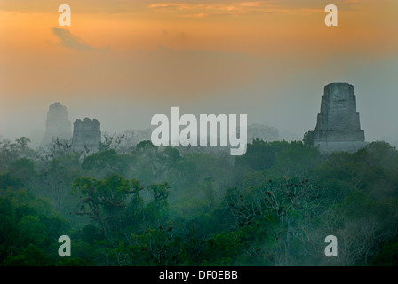 Les temples mayas de Tikal, pyramide, calendrier, 2012, rainforest, sunrise, Peten, Guatemala, Amérique Centrale Banque D'Images