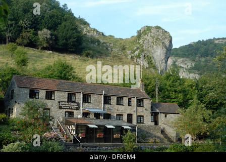 Hillside Cottage restaurant, Cheddar Gorge, cheddar, Somerset, Angleterre, Royaume-Uni, Europe Banque D'Images