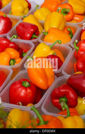 Baignoires en plastique de paprikas sur l'affichage à la Milton marché de fermiers de l'Ontario, Canada. Banque D'Images