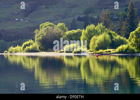 Des arbres sur la rive, qui se reflète dans les eaux calmes du Lac Wanaka, île du Sud, Nouvelle-Zélande Banque D'Images