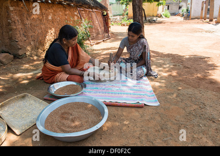 Les femmes village à l'aide de meules pierres pour moudre le mil rouge / Graines Graines Ragi Ragi en farine. L'Andhra Pradesh. L'Inde Banque D'Images