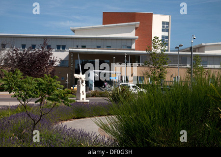 L'hôpital Queen Mary de Londres Angleterre Roehampton Banque D'Images
