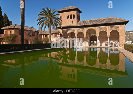 Partal Palace et de l'étang, à l'Alhambra, Grenade, Andalousie, Espagne, Europe Banque D'Images