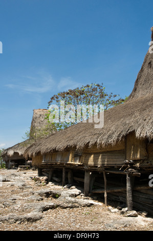 L'INDONÉSIE, Sumba, Prailiang, village perché avec haute traditionnelle a fait des toits de chaume, typiques de l'île Banque D'Images