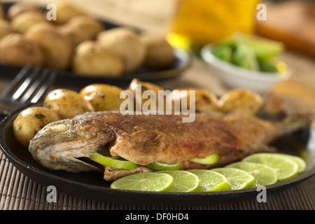 Truite poêlée avec lime slices et pommes de terre avec le persil dans le jus de lime (Selective Focus, se concentrer sur la partie inférieure de la tête) Banque D'Images