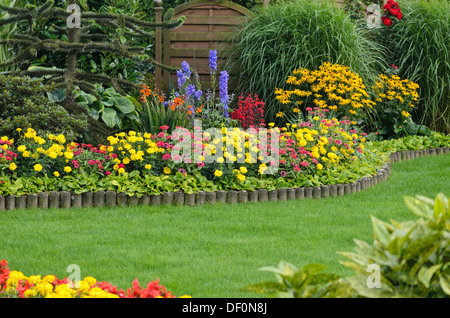 Les œillets d'Inde (Tagetes), (Les zinnias zinnia), larkspurs (delphinium) et le cône fleurs (Rudbeckia) Banque D'Images