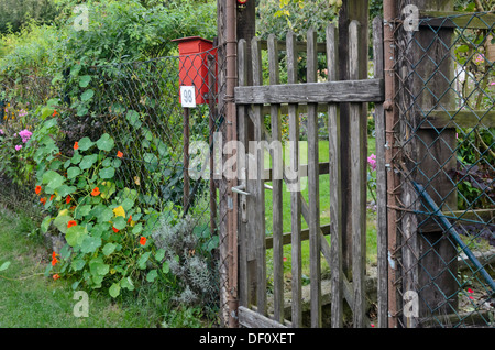 Porte de jardin en bois d'un allotissement jardin Banque D'Images