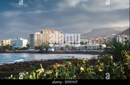 Jardin ferme cultivée en premier plan et les bâtiments modernes de Los Cristianos holiday resort en arrière-plan Banque D'Images