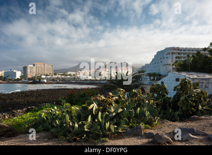 Vieux bâtiments de ferme avec jardin ferme cultivée en premier plan et les bâtiments modernes de Los Cristianos holiday resort en arrière-plan Banque D'Images