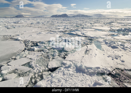 Champ de glaces de glaces en dérive, Freemansundet (entre Barentsøya et Edgeøya), archipel du Svalbard, Norvège Banque D'Images