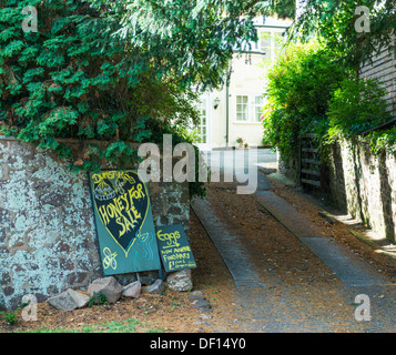 Dunster, Somerset, Angleterre Royaume-Uni. Une maison à Dunster qui vend du miel et des œufs, avec les panneaux publicitaires. Oeufs £1 pour six. Banque D'Images