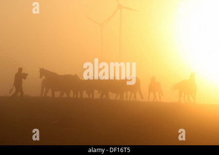 Görlsdorf, Allemagne, les silhouettes des gens et chevaux au lever du soleil Banque D'Images