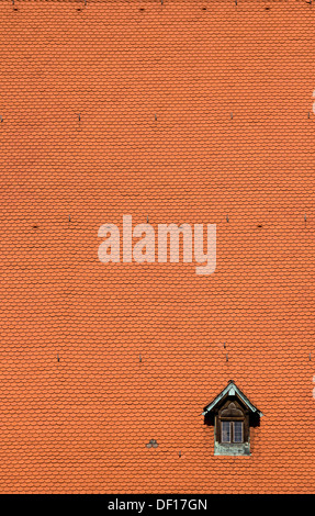 Berlin, Allemagne, fenêtres de toit de l'église Sainte Marie de Berlin-Mitte Banque D'Images