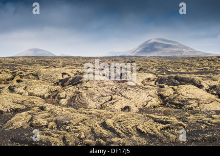 Couverts de lichen pahoehoe lava près de Masdache, Lanzarote, avec Montaña Negra dans la distance Banque D'Images