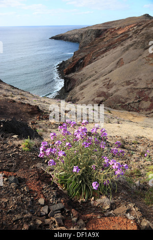 Madère, la Ponta de Sao Lourenço, l'extrémité orientale de l'île, paysage Banque D'Images