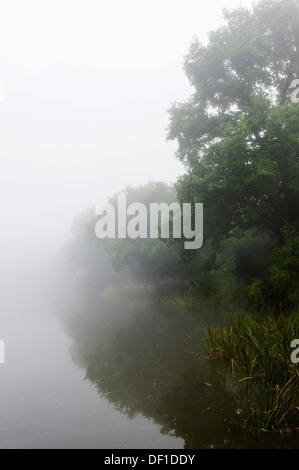 Brume matinale sur Old Hall étang dans l'Essex. Banque D'Images