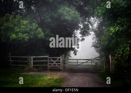 Une porte dans un bar cinq forestiers misty. Banque D'Images