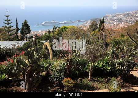 Madère, Funchal, donnant sur le jardin tropical, Le Jardin Tropical Monte Palace, la ville et le port Banque D'Images