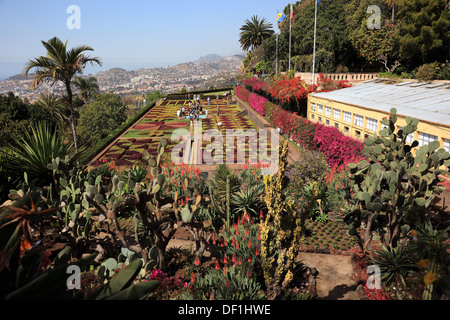 Madère, Funchal, donnant sur le jardin tropical, Le Jardin Tropical Monte Palace, la ville et le port Banque D'Images