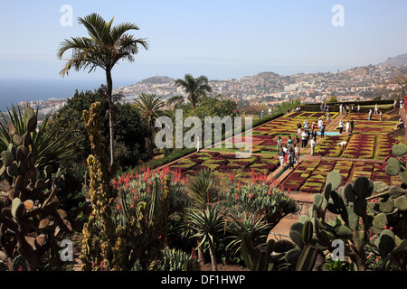 Madère, Funchal, donnant sur le jardin tropical, Le Jardin Tropical Monte Palace, la ville et le port Banque D'Images