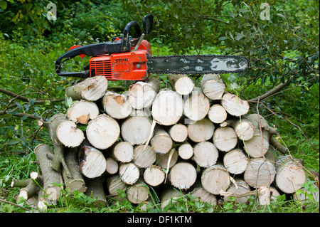 Une tronçonneuse posée sur une pile de grumes Banque D'Images
