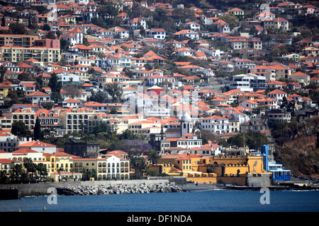 Madère, Funchal, sur le port, sur une partie de la ville, avec la Fortaleza Sao Tiago Banque D'Images