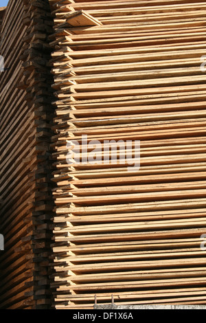 Récemment coupé du bois est empilé pour sécher à l'extérieur d'un chantier de bois et scierie à Cotacachi (Équateur) Banque D'Images