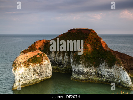 Vue sur la mer depuis les falaises de High Stacks Arch, le Drinking Dinosaur du Flamborough Yorkshire Banque D'Images